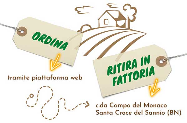 Logo dell'Ente Cerificatore TUV